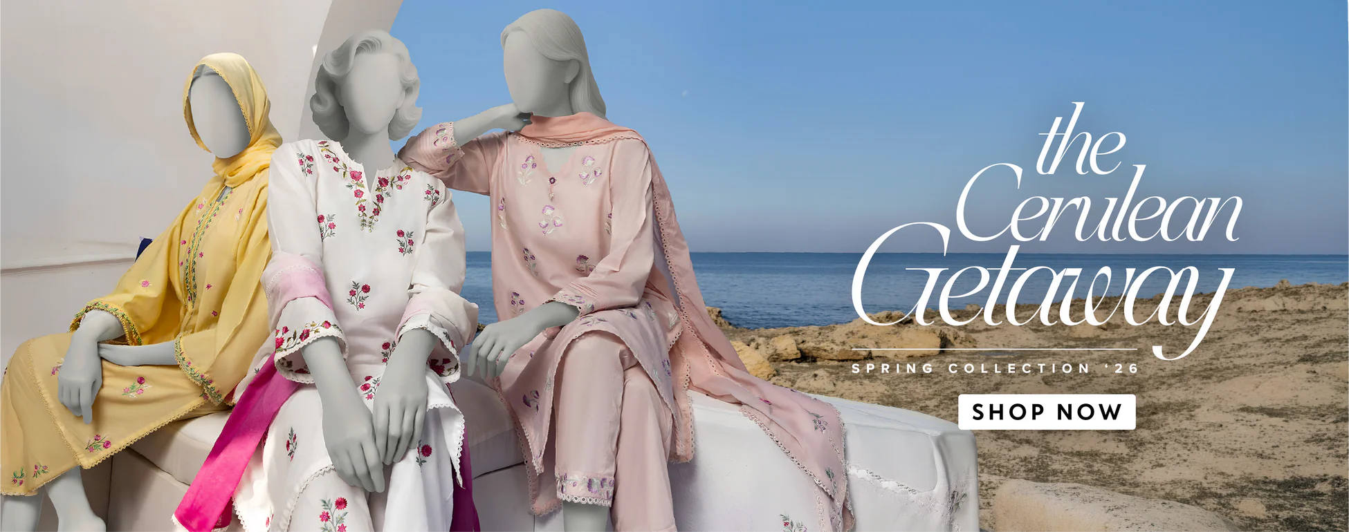 Timeless Elegance, Modern Pakistani Style