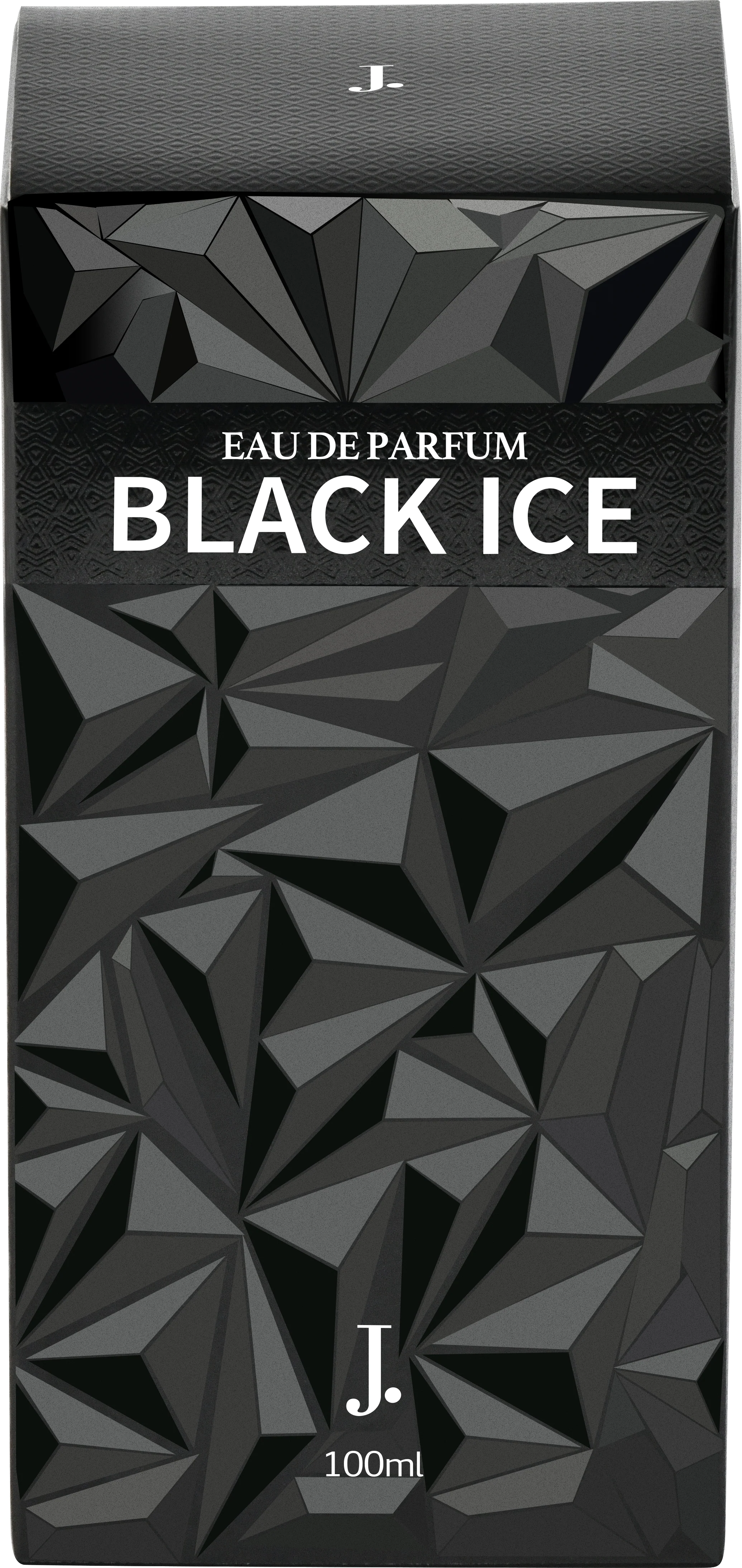 BLACK ICE - Image 3