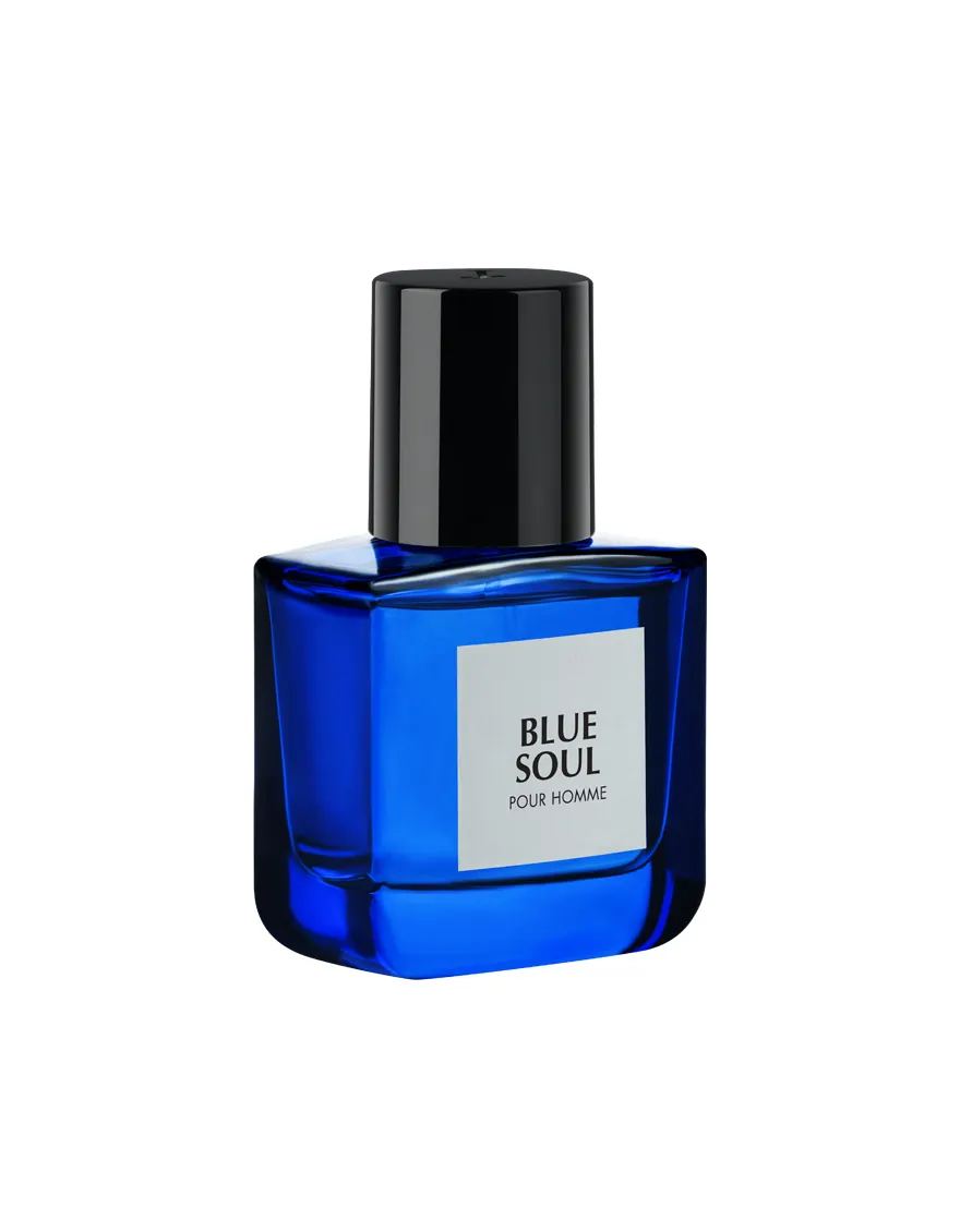 BLUE SOUL - Image 3