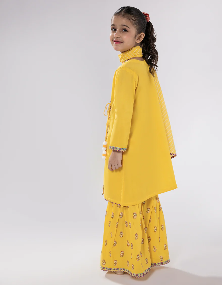 JGK-S-JGP-25-1601 FB/LEHRIYA-4 - Image 2