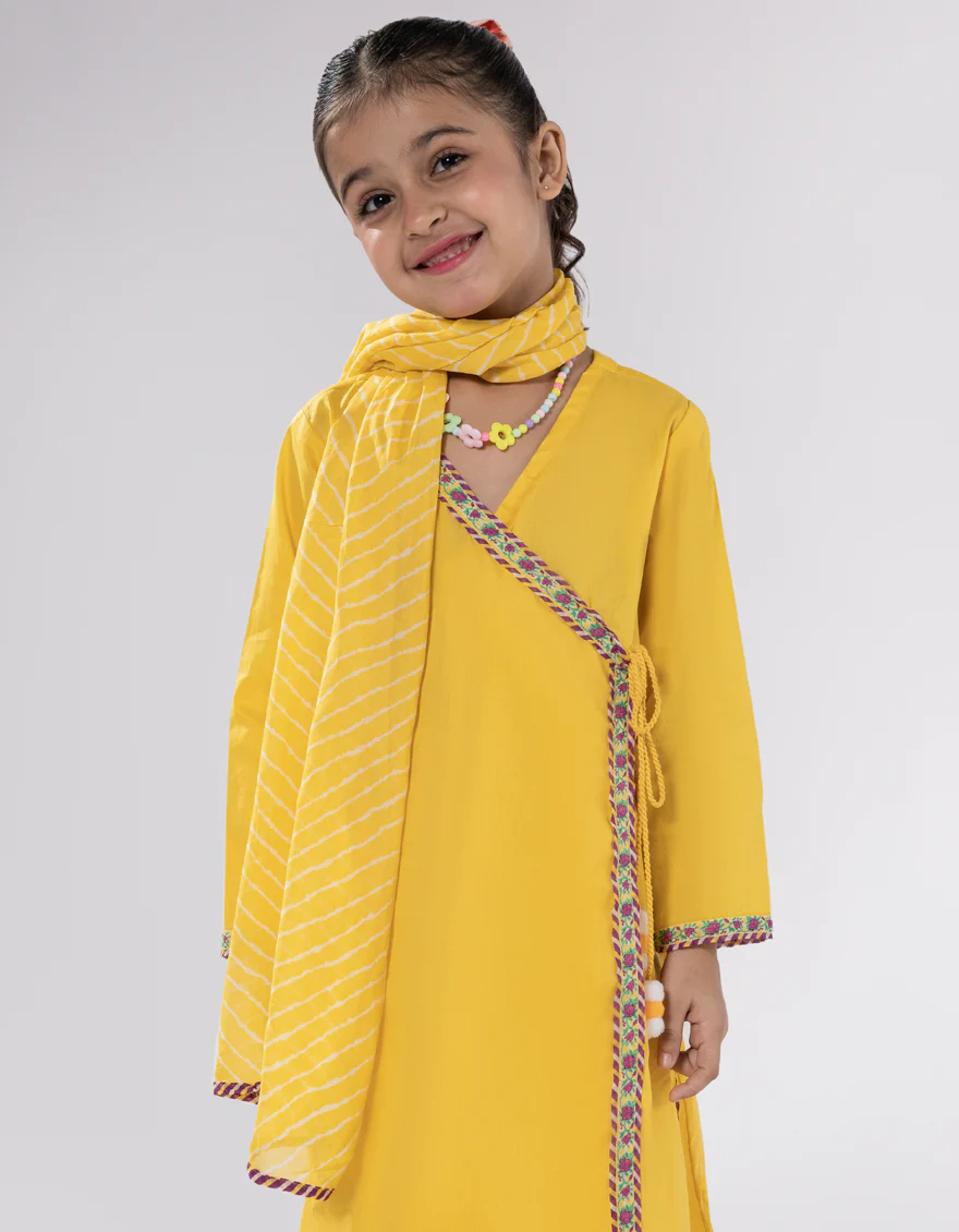JGK-S-JGP-25-1601 FB/LEHRIYA-4 - Image 3