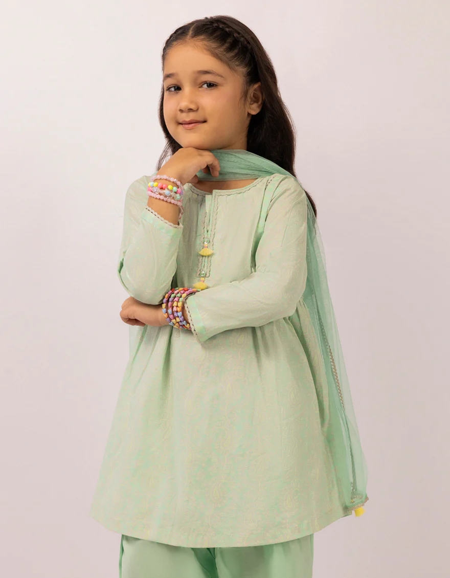 JGK-S-JGP-26-1624 FB/CHIKANKARI-03 - Image 2
