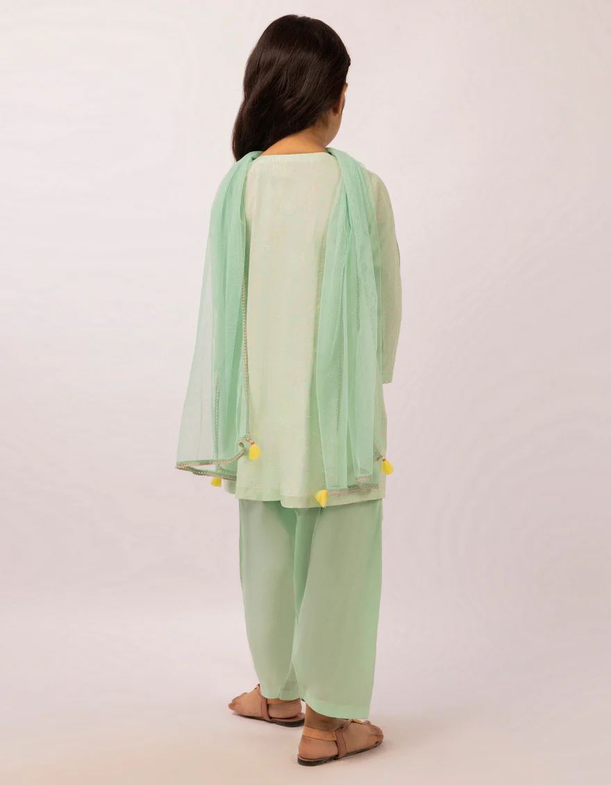 JGK-S-JGP-26-1624 FB/CHIKANKARI-03 - Image 3