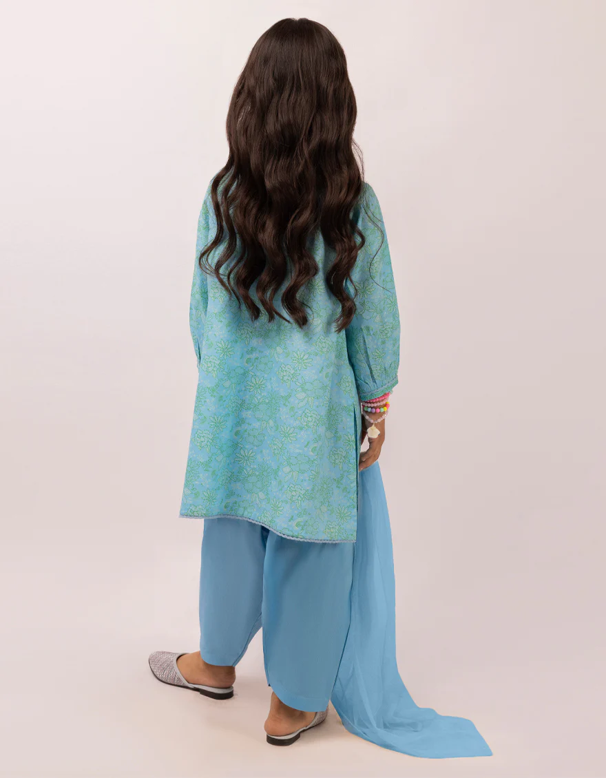 JGK-S-JGP-26-1627 FB/CHIKANKARI-06 - Image 3