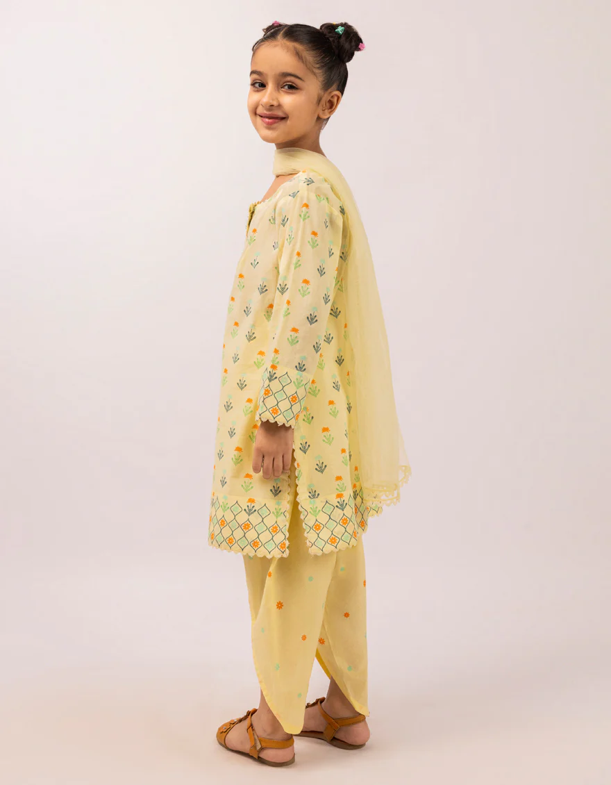 JGK-S-JGP-26-1629 FB/ETHNIC-2 - Image 3