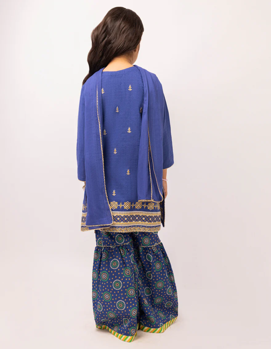 JGK-S-JGP-26-1648 FB/CHUNRI-5 - Image 3