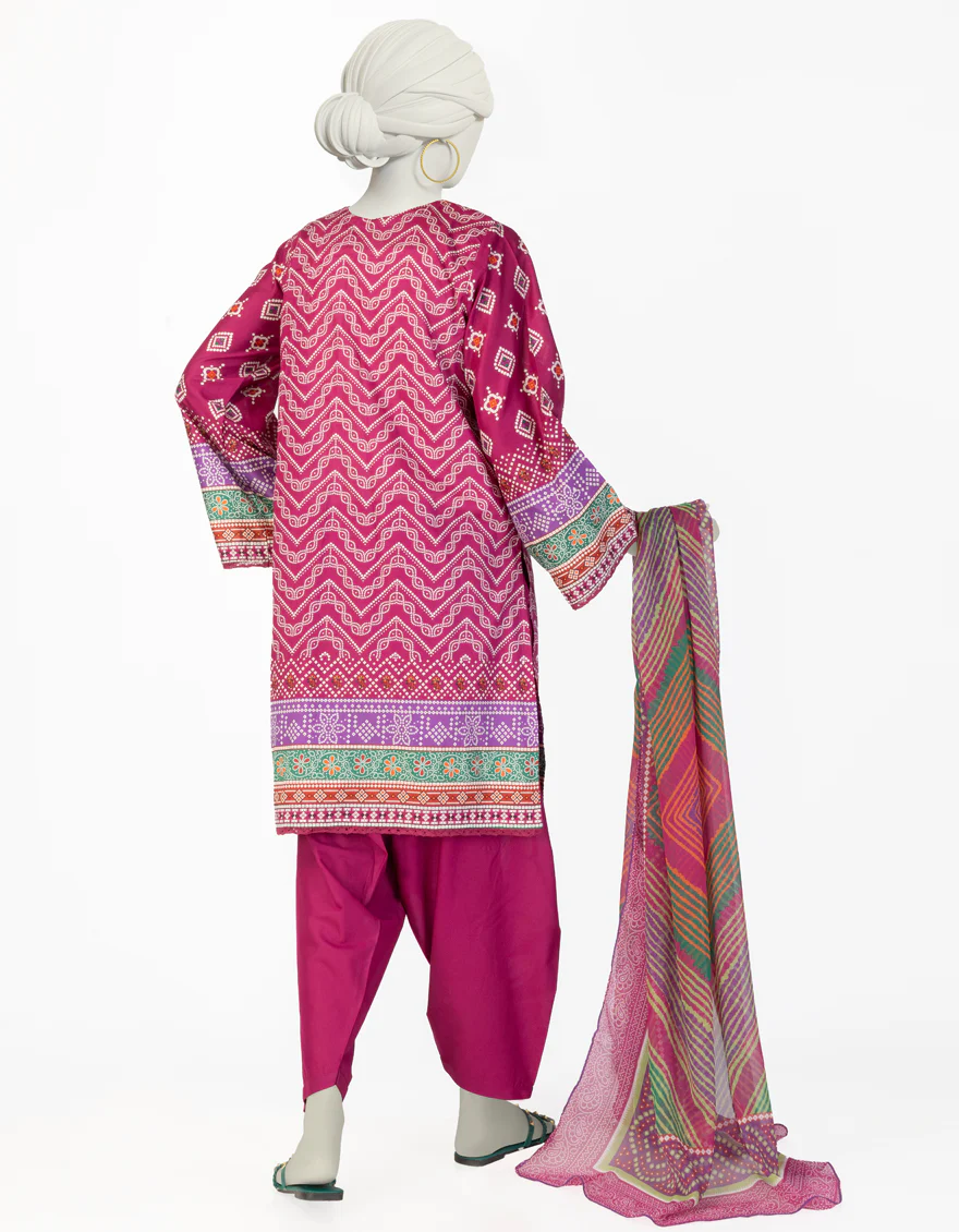 JLAWN-S-25-078/S CHUNRI-6 - Image 2