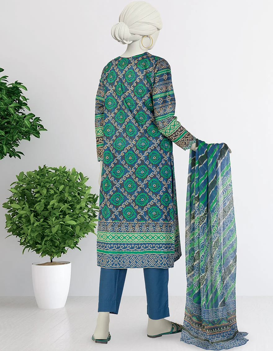 JLAWN-S-25-079/S CHU - Image 2
