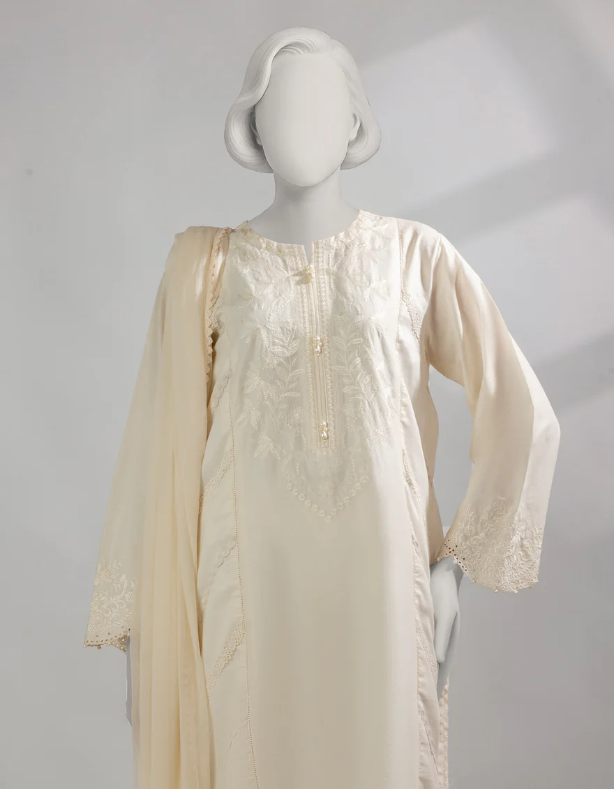 JLAWN-S-25-238/S CHIKENKARI-01 - Image 3