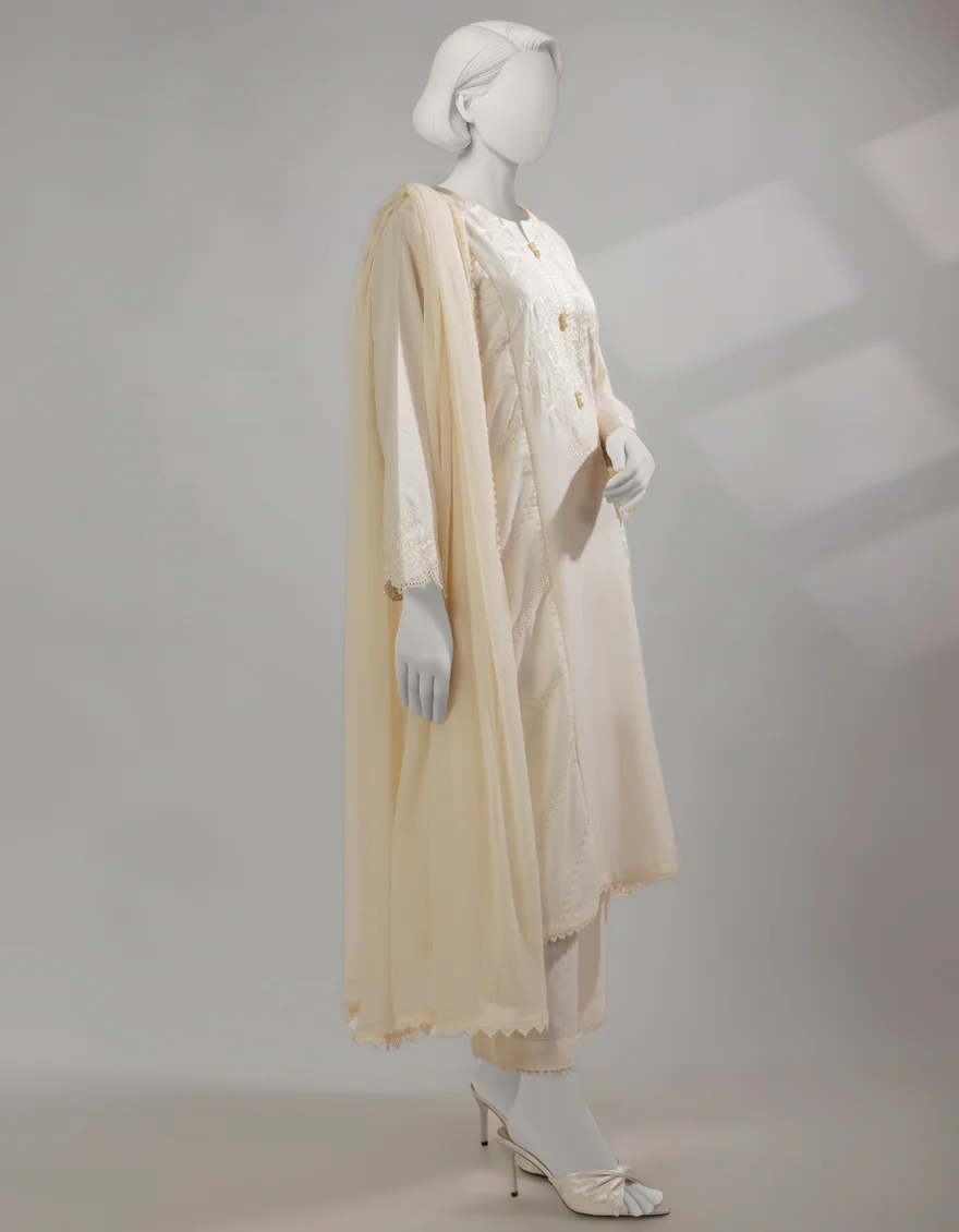 JLAWN-S-25-238/S CHIKENKARI-01 - Image 4