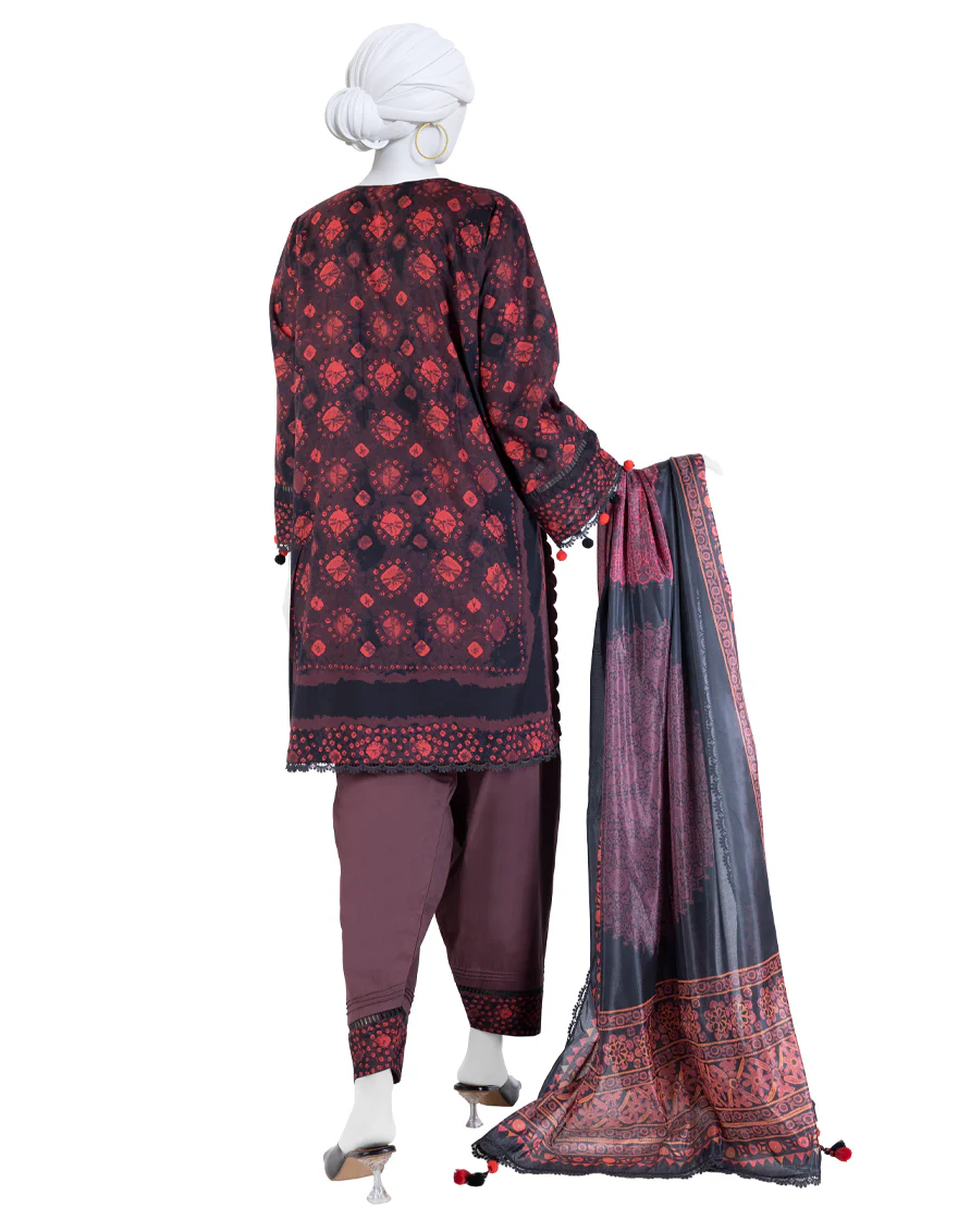 JLAWN-S-25-3260 ETHNIC CRAFT-8 - Image 2