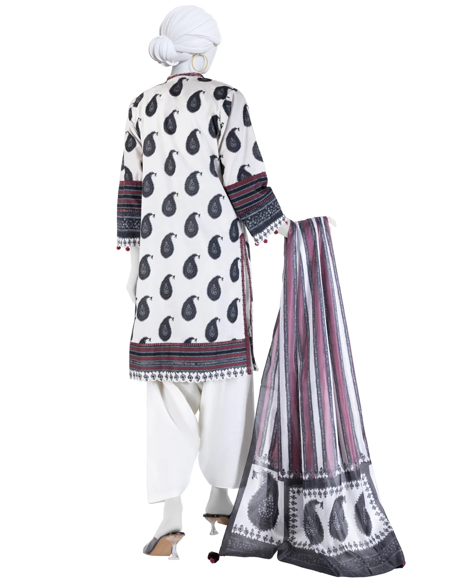 JLAWN-S-25-3261 ETHNIC CRAFT-9 - Image 2