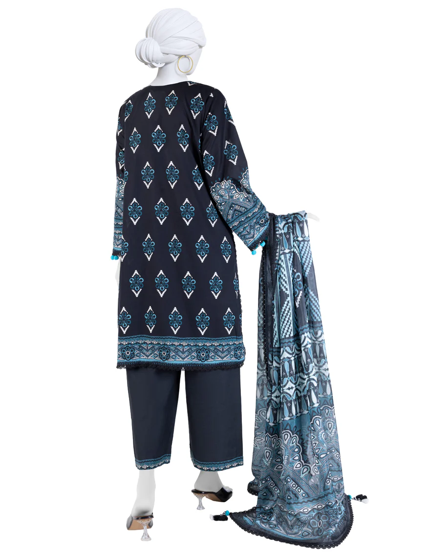 JLAWN-S-25-3263 ETHNIC CRAFT-11 - Image 2