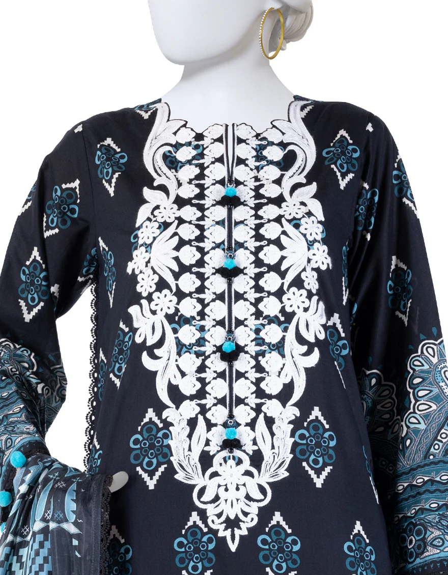 JLAWN-S-25-3263 ETHNIC CRAFT-11 - Image 3