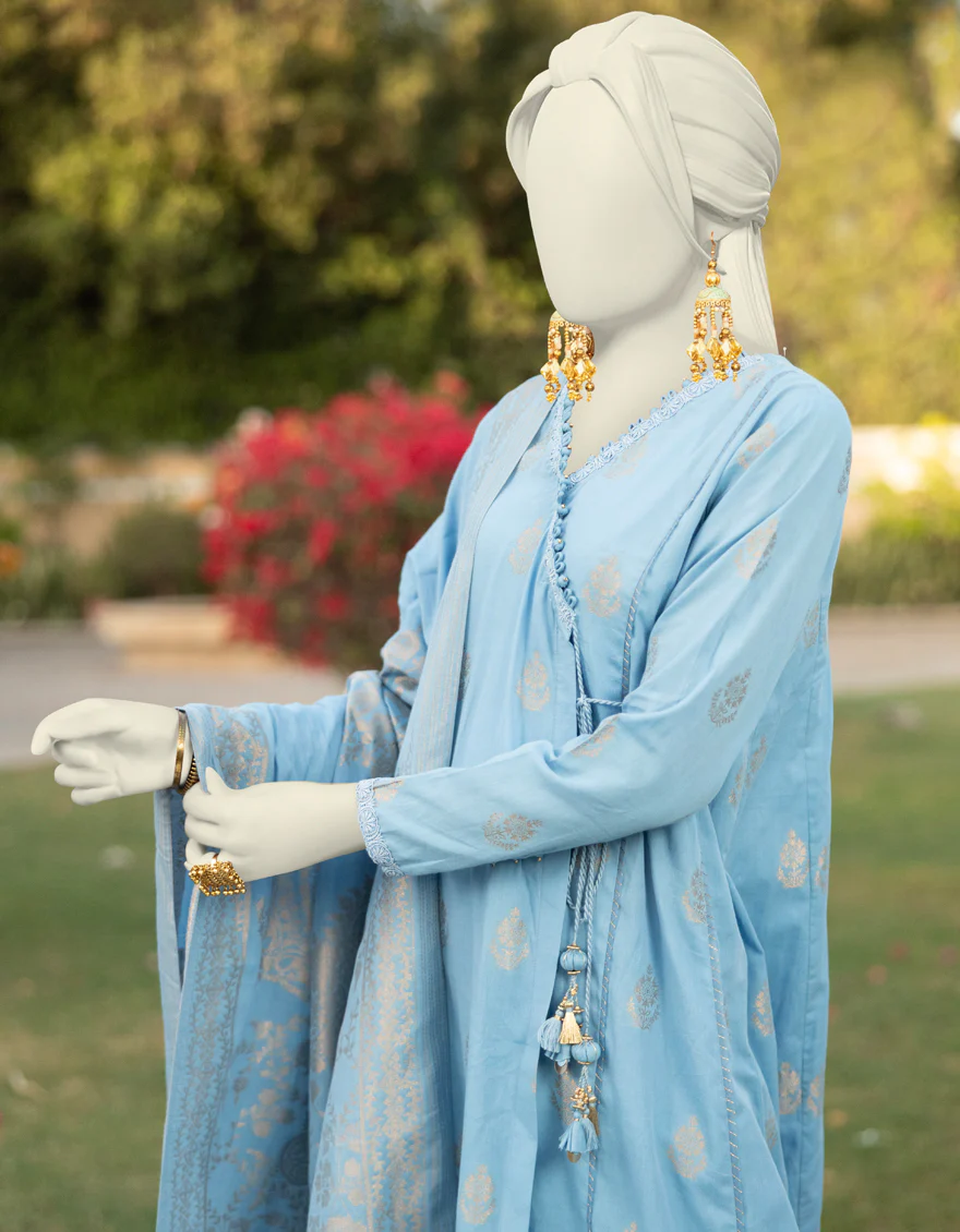 JLAWN-S-25-3291 ZAR - Image 2