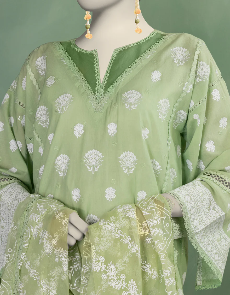JLAWN-S-25-911 WIRSA - Image 4