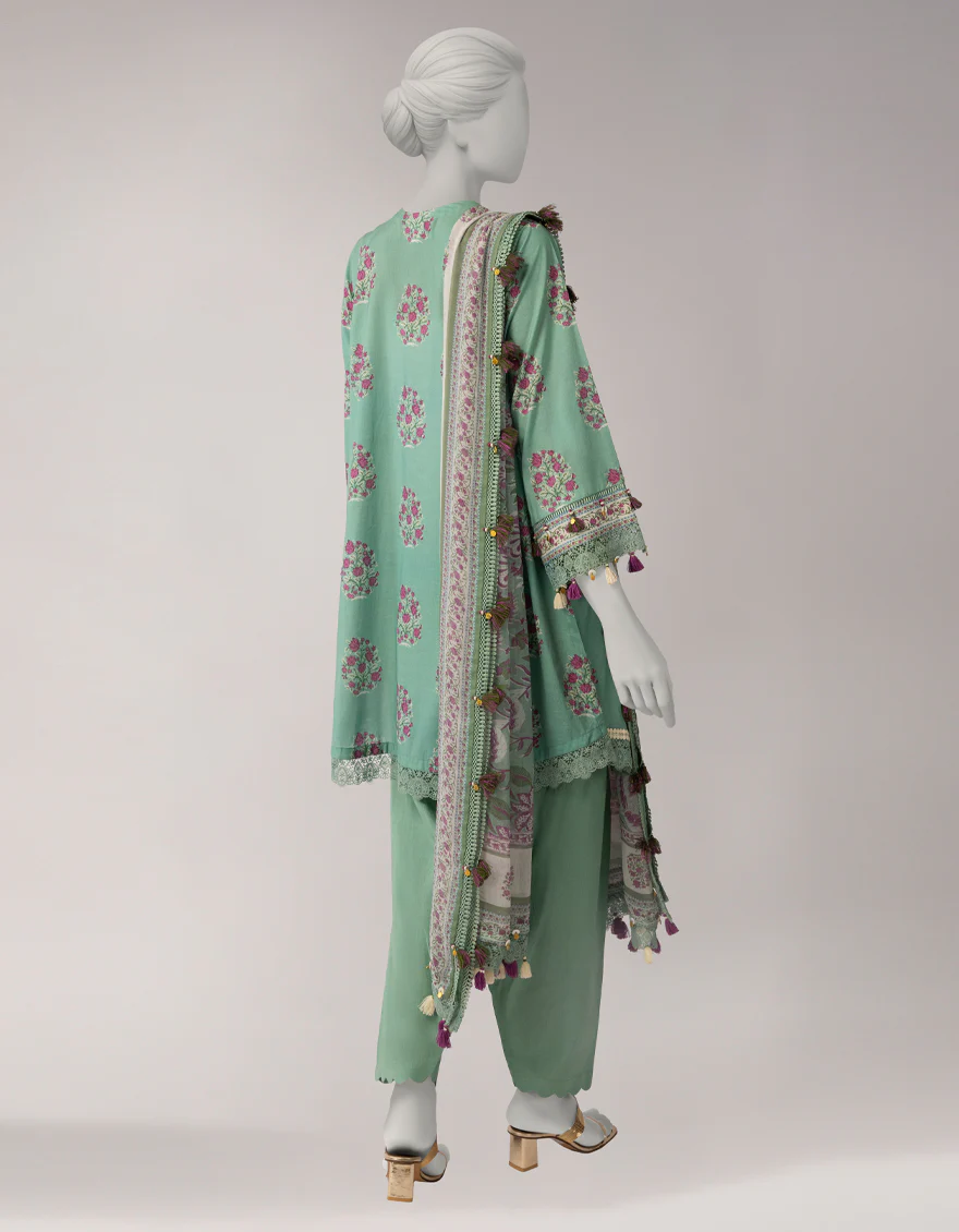 JLAWN-S-26-3728 CHAPAI-2 - Image 2