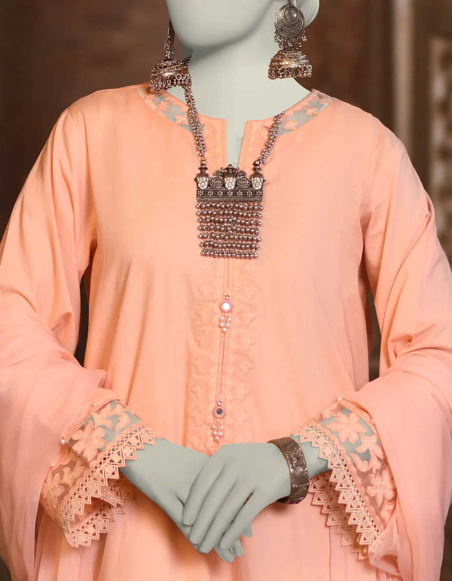 JLAWN-S-JDS-25-1005/S RALLI-01 - Image 2
