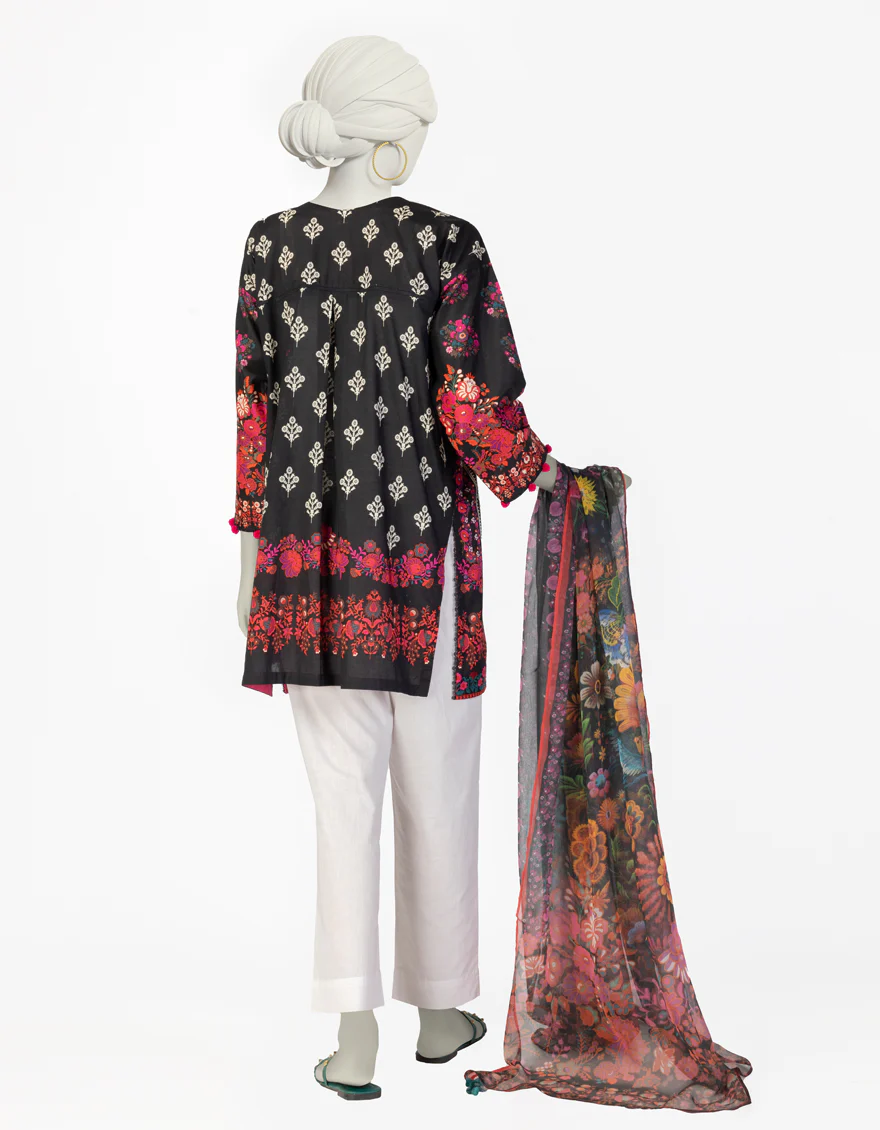JLAWN-S-JDS-25-1080/ - Image 2