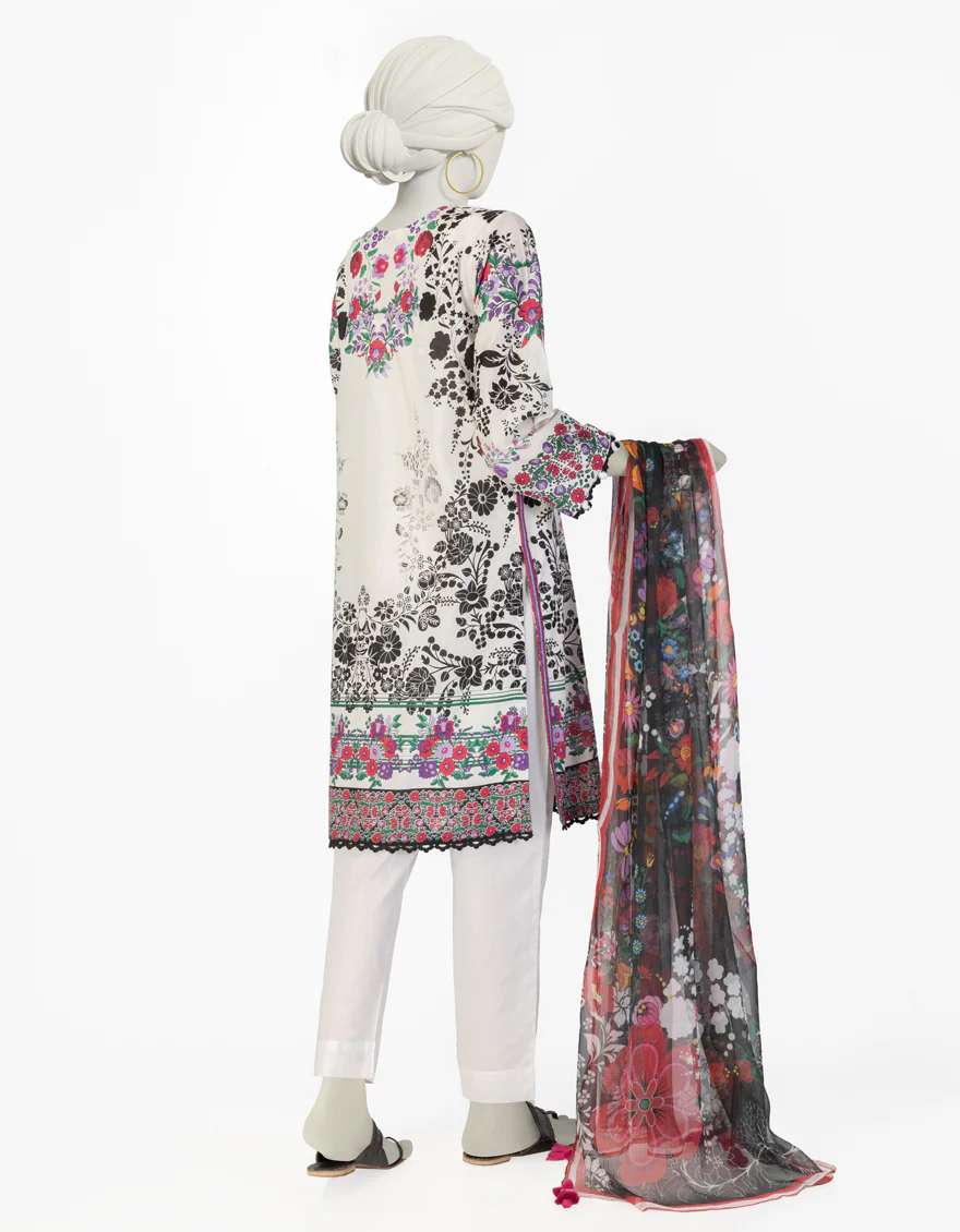JLAWN-S-JDS-25-1081/ - Image 2