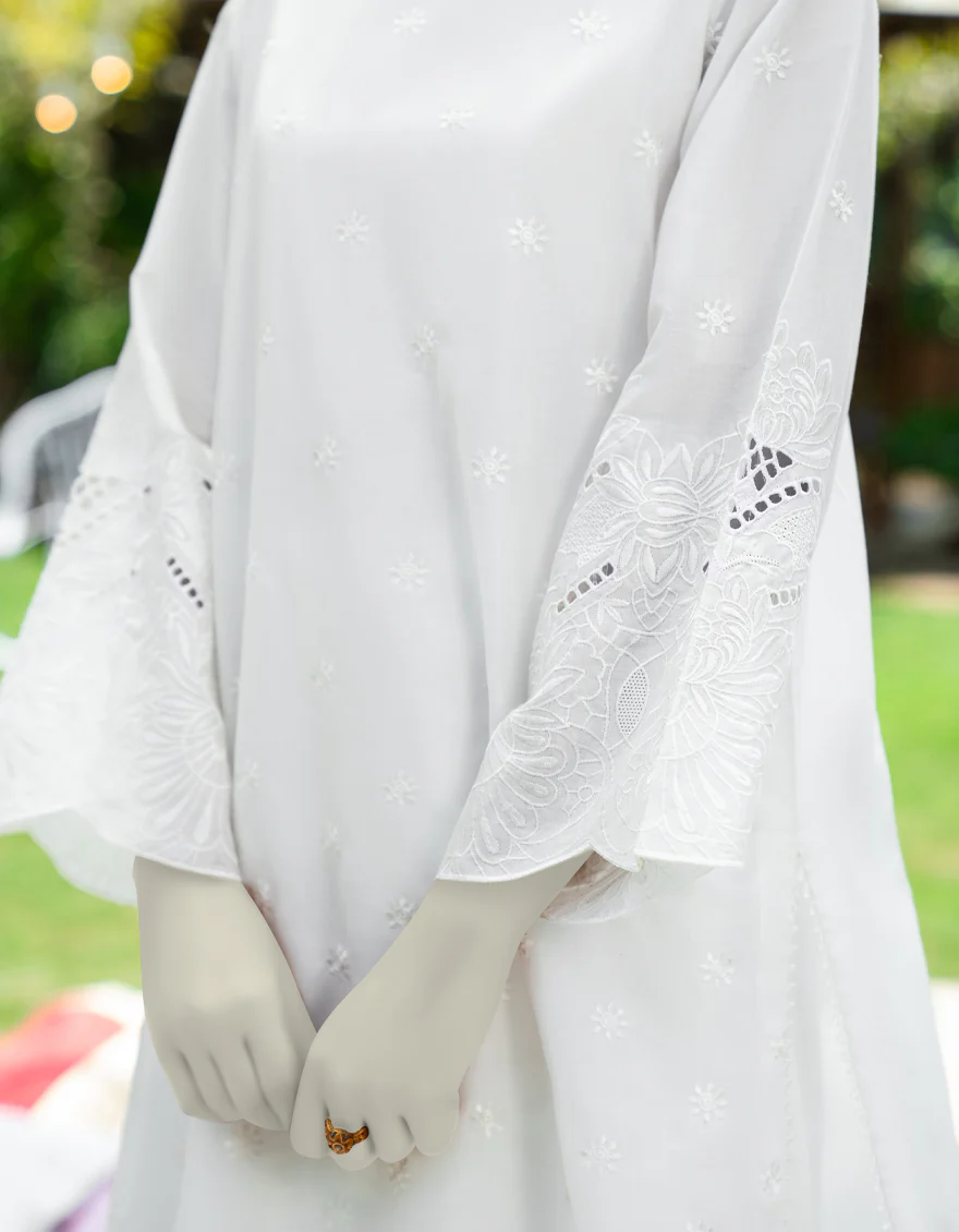 JLAWN-S-JDS-25-1120/ - Image 4